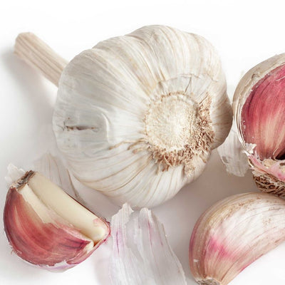Garlic (hanso kelok)