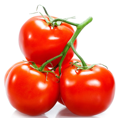Tomato (BokBok)
