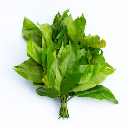 Melinjo leaves (hanthu)