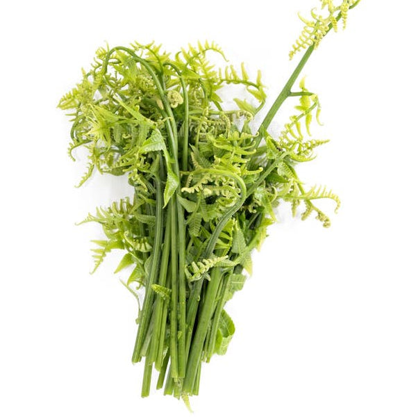 Edible fren (Dumkek)