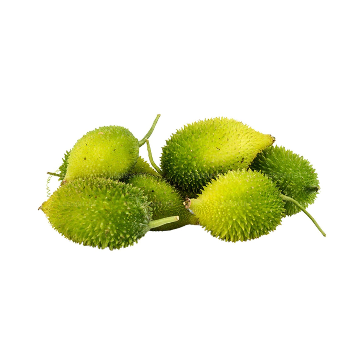 Thumba karawila (karela)
