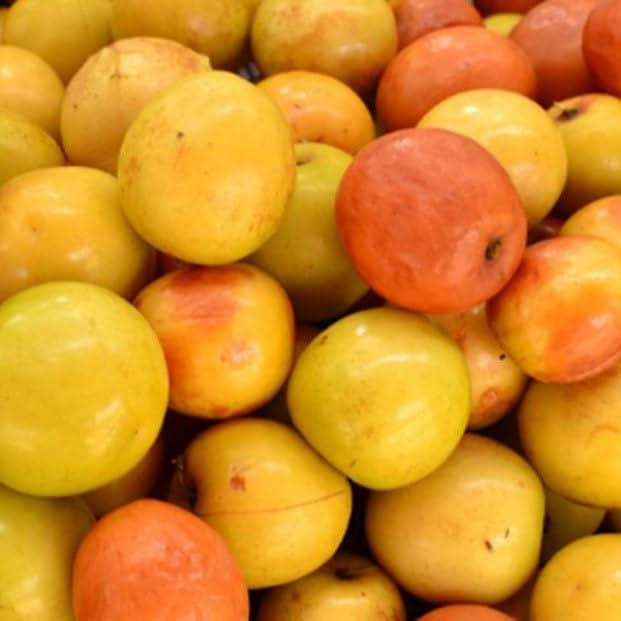 Jujube baries (Boguri)