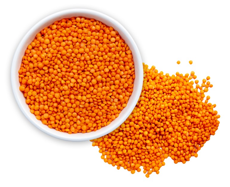Dal