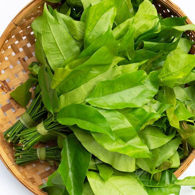 Melinjo leaves (Hanthu)