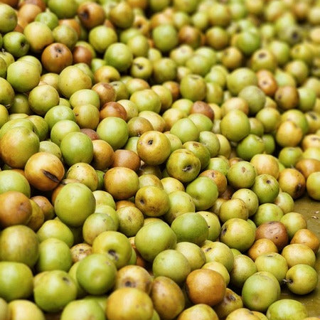 Jujube baries (Boguri)