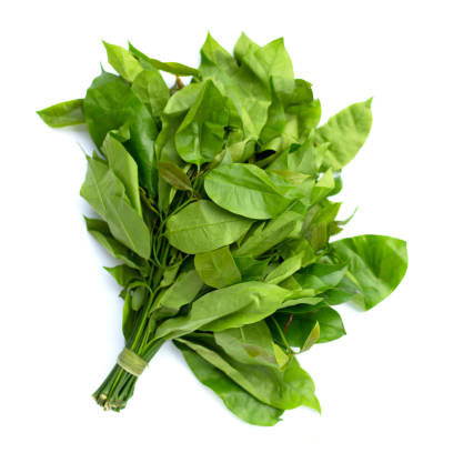 Melinjo leaves (Hanthu)